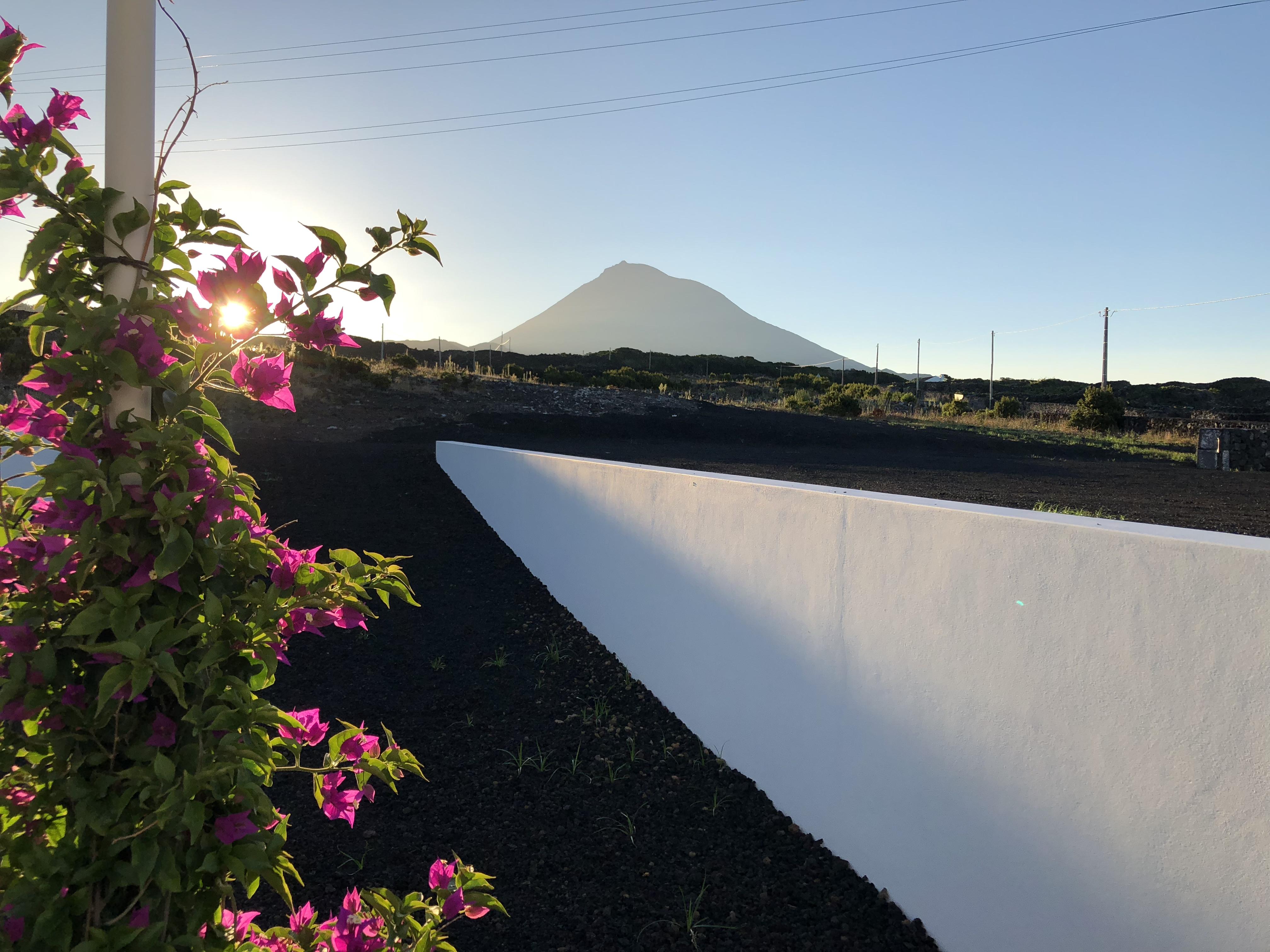 Vinhas do Calhau Madalena (Azores) Exterior foto