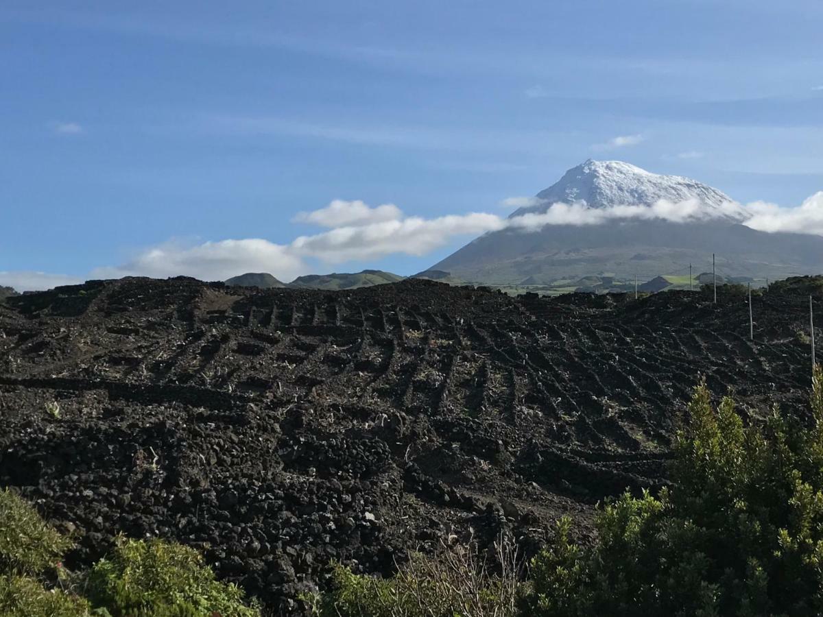 Vinhas do Calhau Madalena (Azores) Exterior foto